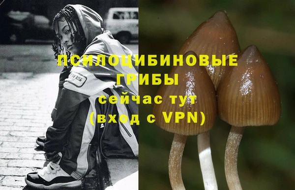 метамфетамин Белокуриха
